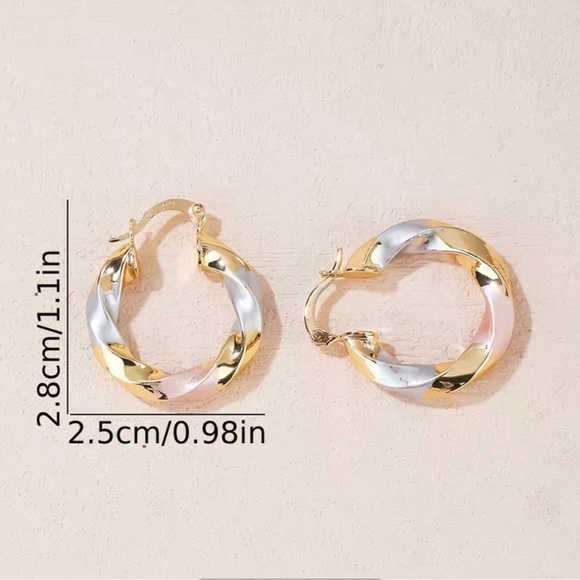 NWT Stainless Steel Twisted Golden Silver Hoop
Earrings - Picture 6 of 6